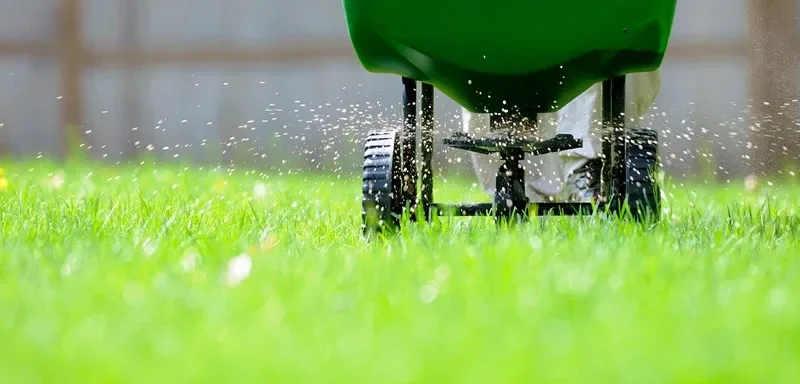 Professional lawn care service